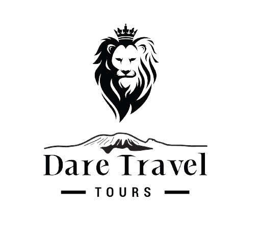 DareTravel Tours